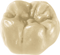 StarWax CB modelling wax, Dentin B3