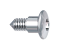 Hexagon socket screw, short, for Herbst II